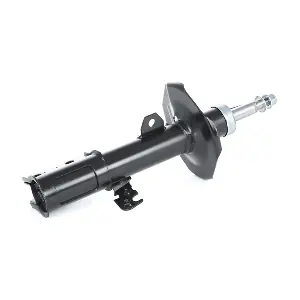 RIDEX 854S0698