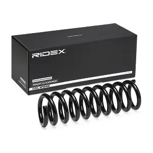 188C1001 RIDEX