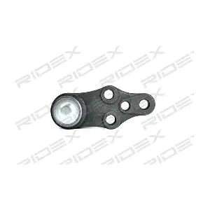 RIDEX 2462S0100