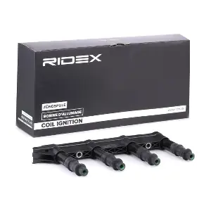 RIDEX 689C0070
