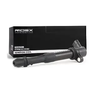 RIDEX 689C0036