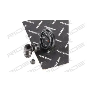 405R0135 RIDEX