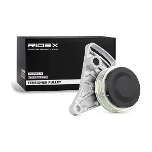 RIDEX 310T0002
