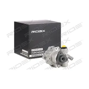 12H0197 RIDEX