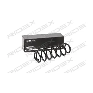 188C0497 RIDEX