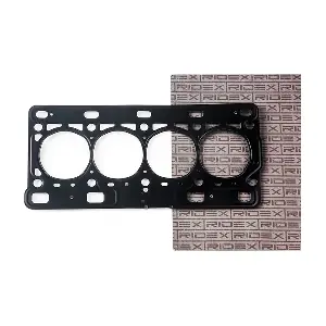 318G0029 RIDEX