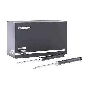 RIDEX 854S1361