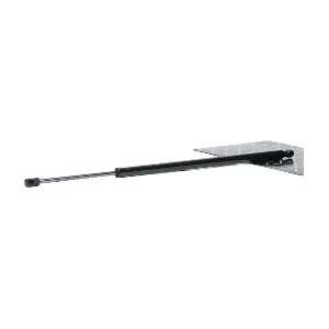 219G0953 RIDEX