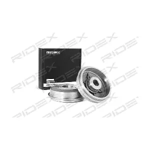RIDEX 123B0018