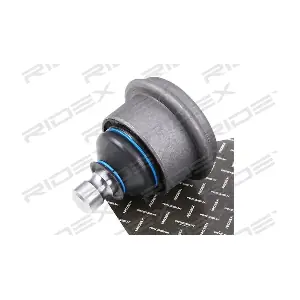 2462S0425 RIDEX