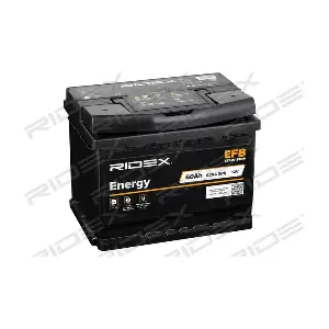 1S0026 RIDEX