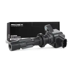 RIDEX 689C0130