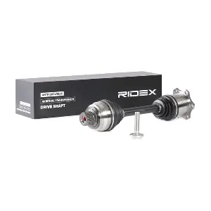 13D0405 RIDEX