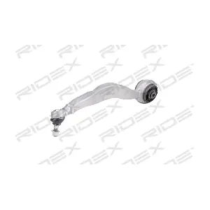 273C1384 RIDEX