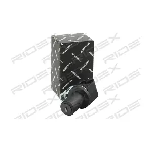 RIDEX 412W0613