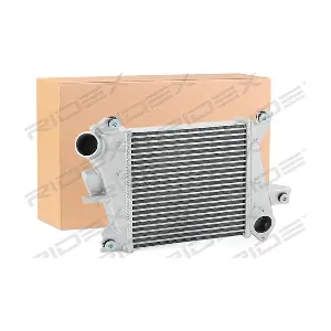 468I0099 RIDEX