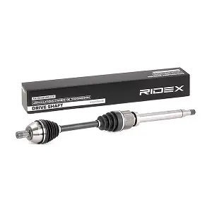 13D0316 RIDEX