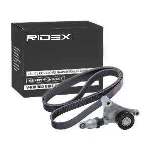 RIDEX 542R0595