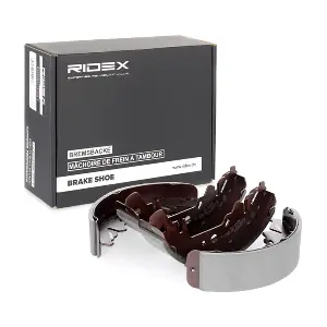 RIDEX 70B0029