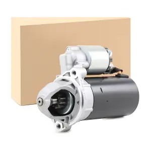 RIDEX 2S0098