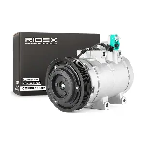 447K0064 RIDEX