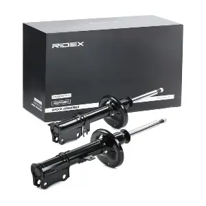 854S2281 RIDEX