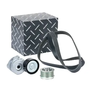 542R0669 RIDEX
