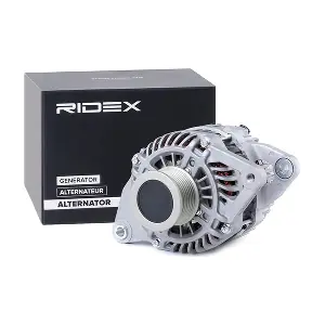 RIDEX 4G0838