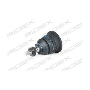 2462S0133 RIDEX