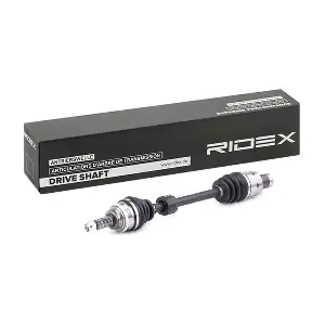13D0176 RIDEX