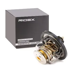 RIDEX 316T0112