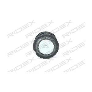 2462S0102 RIDEX
