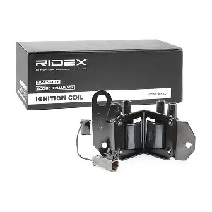 RIDEX 689C0218