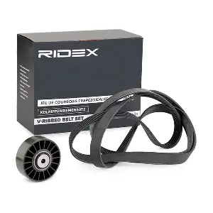 RIDEX 542R0177