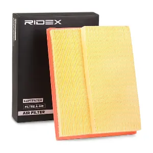 8A0079 RIDEX