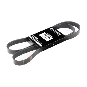 RIDEX 305P0075
