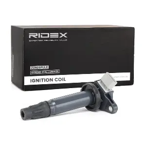 689C0114 RIDEX