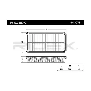 RIDEX 8A0038
