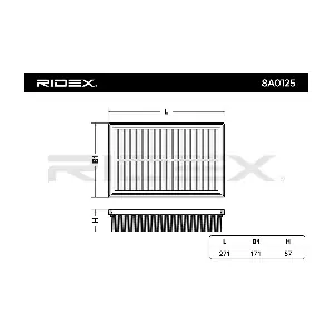 RIDEX 8A0125