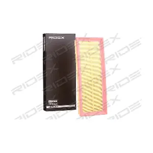8A0689 RIDEX