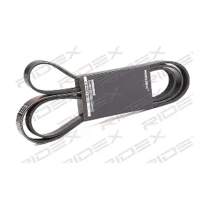 RIDEX 305P0424