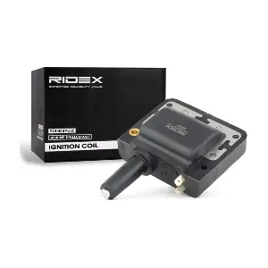 689C0181 RIDEX