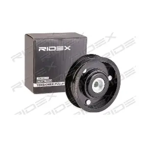 RIDEX 310T0229