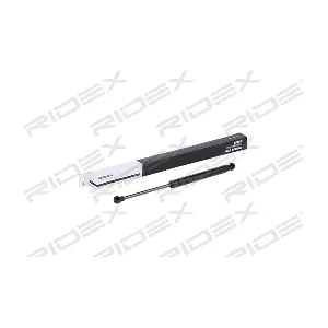 2454G0018 RIDEX