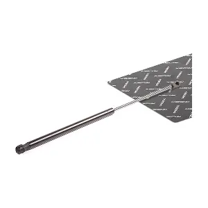 RIDEX 219G0017