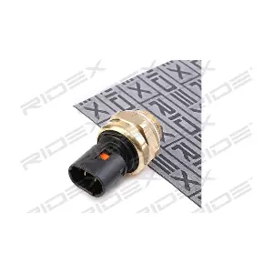 RIDEX 1103T0009