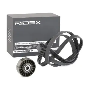 RIDEX 542R0123
