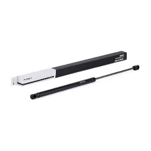 219G0317 RIDEX