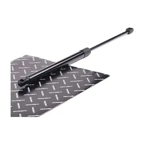 219G0289 RIDEX