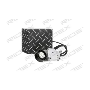 542R0261 RIDEX